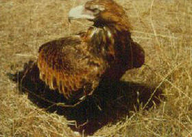 Long Forest Nature Conservation Reserve - Hotel WA 0