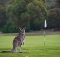 Anglesea Golf Club - Hotel WA