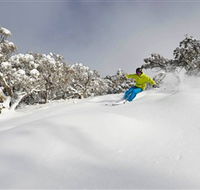 Mt Buller and Mt Stirling Alpine Resort - Hotel WA