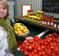 Lonsdale Hydroponics - Hotel WA