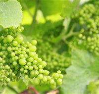 Waratah Hills Vineyard - Hotel WA