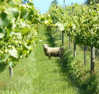 Passing Clouds - Hotel WA