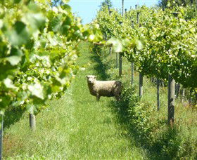 Passing Clouds - Hotel WA 0