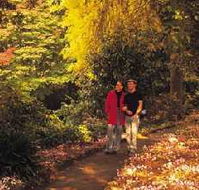 George Tindale Memorial Gardens - Hotel WA