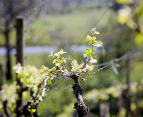 Lindemans Karadoc Winery - Hotel WA 0