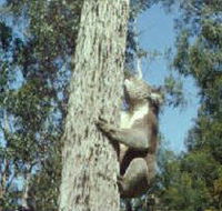 Creswick Regional Park - Hotel WA