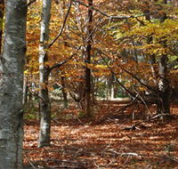 RJ Hamer Arboretum - Hotel WA