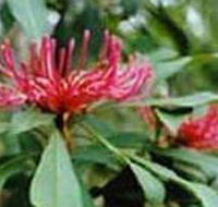 Alfred National Park - Hotel WA