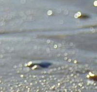 Cape Liptrap Coastal Park - Hotel WA