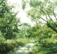 Holey Plains State Park - Hotel WA
