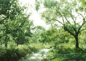Holey Plains State Park - Hotel WA 0