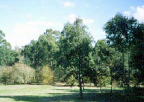 Sweeneys Flat - Hotel WA 0