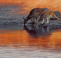 Steve Morvell Wildlife Art - Hotel WA
