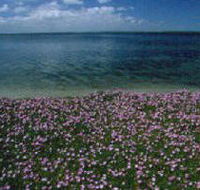 The Lakes National Park - Hotel WA