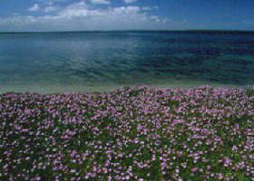 The Lakes National Park - Hotel WA 0