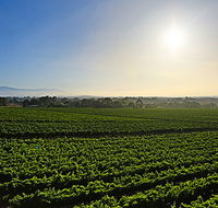 GREENSTONE VINEYARDS - Hotel WA