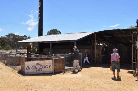 Eucalyptus Distillery Museum - Hotel WA 3