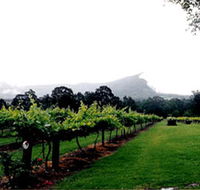 Cambewarra Estate Wines - Hotel WA