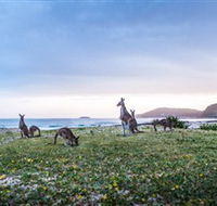 Pebbly Beach - Hotel WA