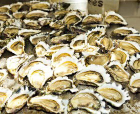 Wheelers Oysters - Hotel WA 0