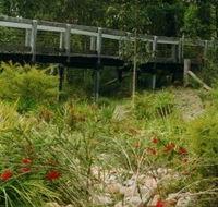 Eurobodalla Botanic Gardens - Hotel WA
