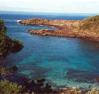 Bass Point Reserve - Hotel WA