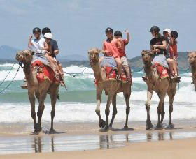 Camel Rides With Coffs Coast Camels - Hotel WA 0