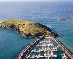 Muttonbird Island Nature Reserve - Hotel WA 0