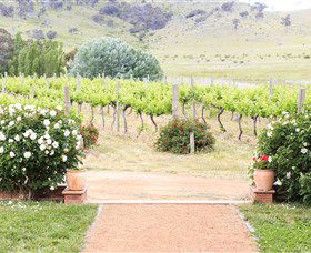 Brindabella Hills Winery - Hotel WA 0