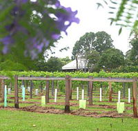 Douglas Vale Historic Homestead  Vineyard - Hotel WA