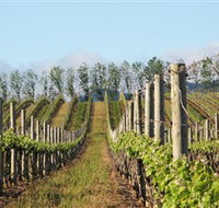 Philip Shaw Wines
