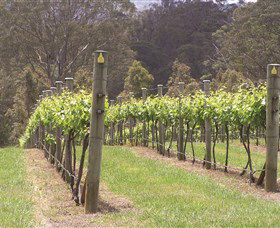 Diamond Creek Estate Cellar Door - Hotel WA 2