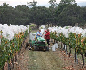 Razorback Ridge Wines - Hotel WA 7