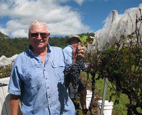 Razorback Ridge Wines - Hotel WA 8