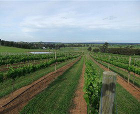 Razorback Ridge Wines - Hotel WA 1