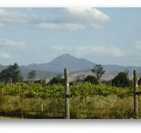Ironbark Ridge Vineyard