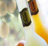 Ambra Limoncello - Hotel WA