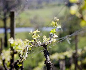 Mount Cole WineWorks - Hotel WA 0