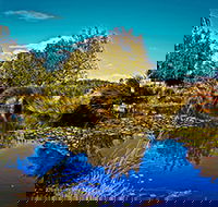 Loira Vines - Hotel WA