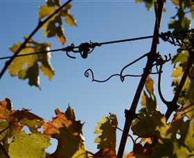Blackjack Vineyards - Hotel WA 1