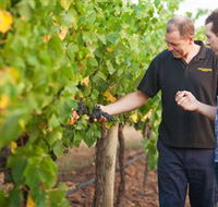 Fratin Brothers Vineyard - Hotel WA