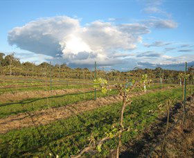 Flyfaire Wines - Hotel WA 7