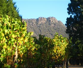 Little River Wines Of Taggerty - Hotel WA 6