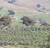 Wymah Organic Olives and Lambs - Hotel WA