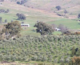 Wymah Organic Olives And Lambs - Hotel WA 0