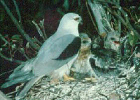 Bushy Park Wetlands - Hotel WA 0