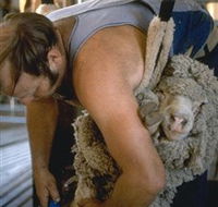 Kuriong Sheep Station - Hotel WA