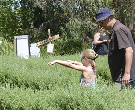 Hedgend Maze And Healesville Laser Sport - Hotel WA 2