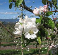 Mouat's Farm - Hotel WA