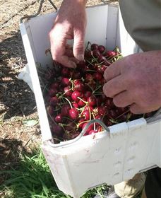 Mouat's Farm - Hotel WA 3